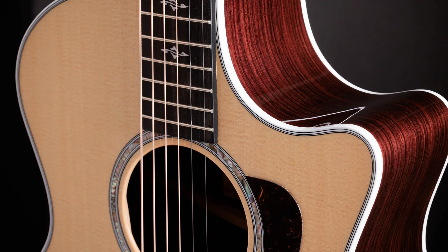 414ce Indian Rosewood Acoustic-Electric Guitar | Taylor Guitars
